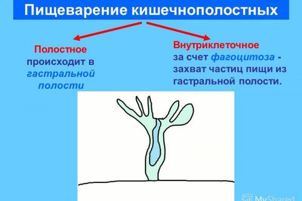 Как пополнить блэк спрут